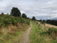 P2011DSC04126	The path leading down towards the old hospital at Leachkin.