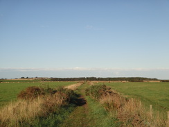 P2011DSC04371	Following the old railway line westwards.