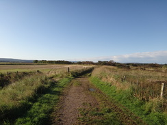 P2011DSC04399	Following the track south from Tugnet.