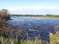 P2011DSC04401	The River Spey beside the track.