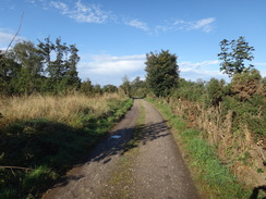 P2011DSC04412	Heading south along the track from Culriach Wood.