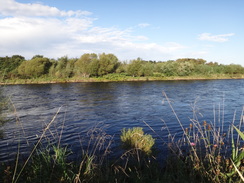 P2011DSC04418	The River Spey.