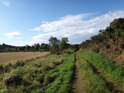 P2011DSC04419	Heading south along the track beside the River Spey.