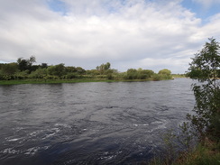 P2011DSC04433	The River Spey to the south of Fochabers.