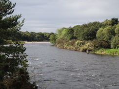 P2011DSC04435	The River Spey to the south of Fochabers.