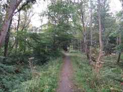 P2011DSC04440	The path heading south towards Fochabers.