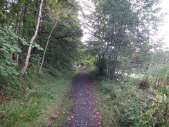 P2011DSC04536	Following the old railway line southwestwards from Craigellachie to Aberlour.