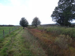 P2011DSC04554	Following the railway line northeastwards from Cromdale.