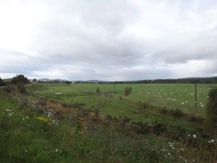 P2011DSC04564	Looking down over the railway line at Pollowick.