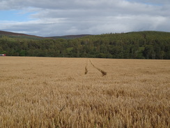 P2011DSC04580	Fields to the east of the road.