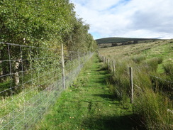 P2011DSC04598	The path trapped between fences.