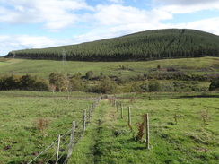 P2011DSC04617	The path descending down to the Burn of Advie.