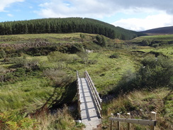 P2011DSC04618	The footbridge over the Burn of Advie.