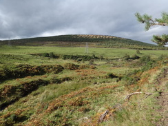 P2011DSC04621	Looking back down over the Burn of Advie.