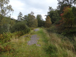 P2011DSC04646	Following the old railway line towards Cragganmore.