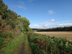 P2011DSC04691	Heading north from Blacksboat towards Knockando.