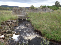 P2011DSC04772	The piers of the old railway bridge over the Burn of Cromdale.