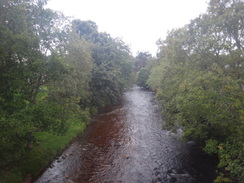 P2011DSC04850	The River Nethy at Nethy Bridge.