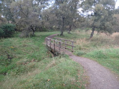 P2011DSC04937	The path leading west towards the main road to the main railway line.