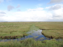 P2011DSC05075	Somewhere out thre is the Solway Firth.