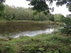 P2011DSC05152	The River Eden near Carlisle.