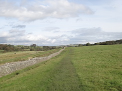 P2011DSC05306	Following the Wall east from Birdoswald Fort.