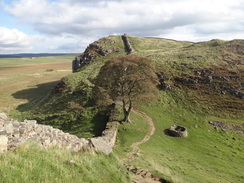 P2011DSC05520	Descending into Sycamore Gap.