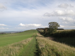 P2011DSC05650	Following the path east from the car park at Brocolitia fort.