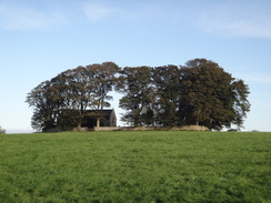 P2011DSC05709	A distant view of St Oswald's Church.