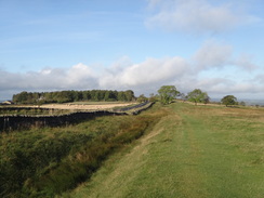 P2011DSC05716	Following the ditch east from St Oswald's Church.