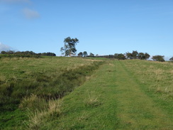 P2011DSC05726	Following the ditch downhill towards the A68.