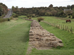 P2011DSC05780	Remnants of Hadrian's Wall in Heddon-on-the-Wall.