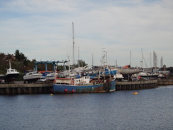 P2011DSC06124	Boats at the marina.