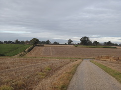 P2011DSC06284	The track leading east from the ruins of St Mary's church to Norgate Lane.