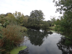 P2011DSC06318	The River Waveney in Brockdish.