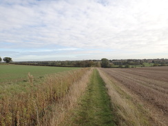 P2011DSC06341	The path heading east from Harleston towards Mendham.