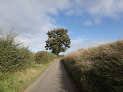 P2011DSC06354	The road heading northeast out of Mendham.