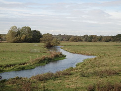 P2011DSC06360	The Waveney to the south of Holmersfield.