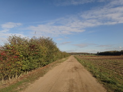 P2011DSC06376	The track alongside the old gravel pits.