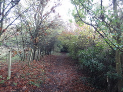 P2011DSC06459	Following the path northeast past Bath Hills.