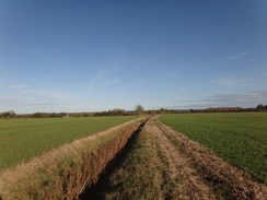 P2011DSC06487	Following the field boundary north towards towards Viewpoint Mews.