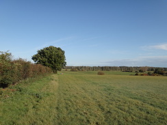 P2011DSC06493	The path leading down from Shipmeadow towards the Waveney.