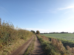 P2011DSC06496	Heading east along the track from Barsham Hall.