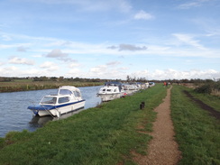 P2011DSC06523	Following the Waveney north from the A146 bridge.