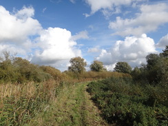 P2011DSC06536	Following the Waveney northeastwards past Beccles Fen.