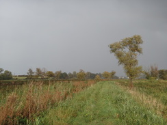 P2011DSC06577	Following the Waveney northeastwards towards Peto's Marsh.