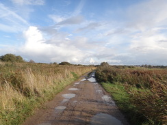 P2011DSC06596	Following a path east-souteastwards across the marshes towards Oulton Broad.