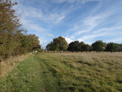 P2011DSC06601	Heading east along a path towards Oulton Broad.