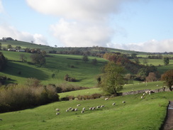 P2011DSC06720	The ascent from Coldwall Bridge to Thorpe.