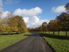 P2011DSC06732	The Avenue leading into Tissington.